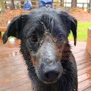 Meet your Posher, Robyn